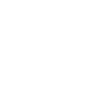 The Telegraph